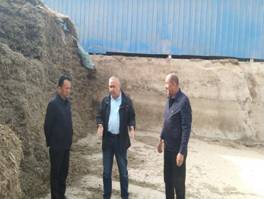 50ca61eb72010989d3ff82ef3c7e274